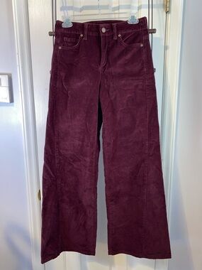 NWOT Time and Tru Burgundy wide leg velour pants, really nice, sz. 2